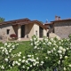 BORGO PIANELLO Holiday Homes & Winery - Lizzano in Belvedere (BO) 